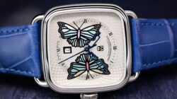 01_Butterfly_AS_AP_B2