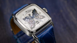 02_Butterfly_AS_AP_B2