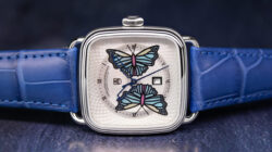 03_Butterfly_AS_AP_B2